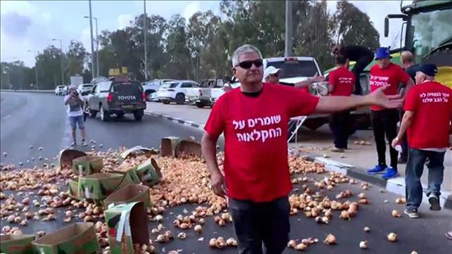 אורי לוי חלקאים
