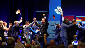 תומכי מפלגת AfD חוגגים את ניצחונם במדגמי הבחירות למחוז סקסוניה אנהלט, הערב