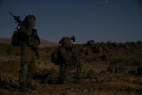 פעילות צה