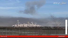 النشرة 20.12