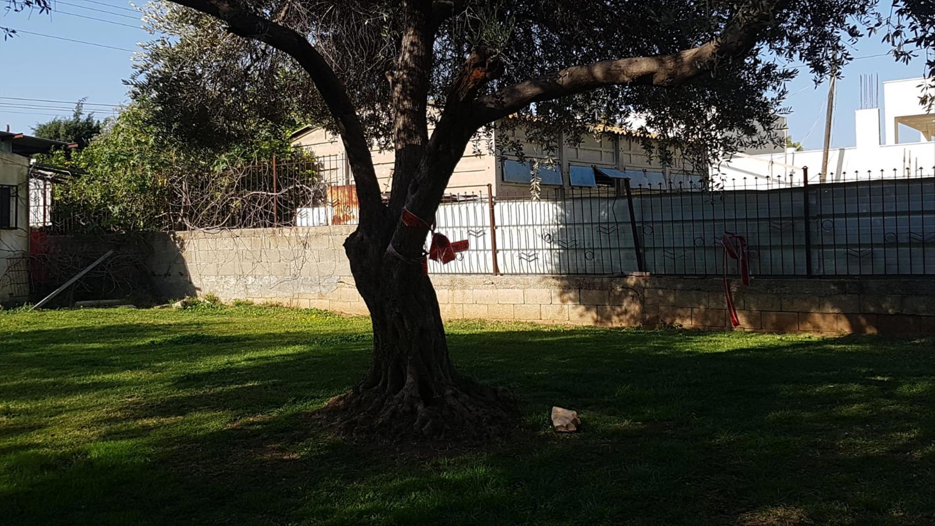 זירת ניסיון רצח ביבנה