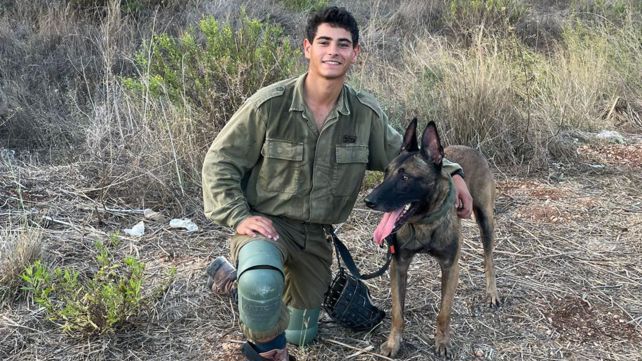 דויד ששון