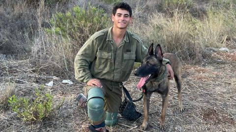 דויד ששון