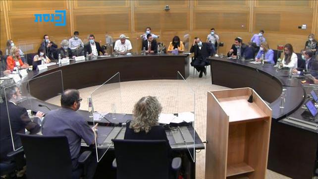 ועדת הפנים והגנת הסביבה, 12.10.20