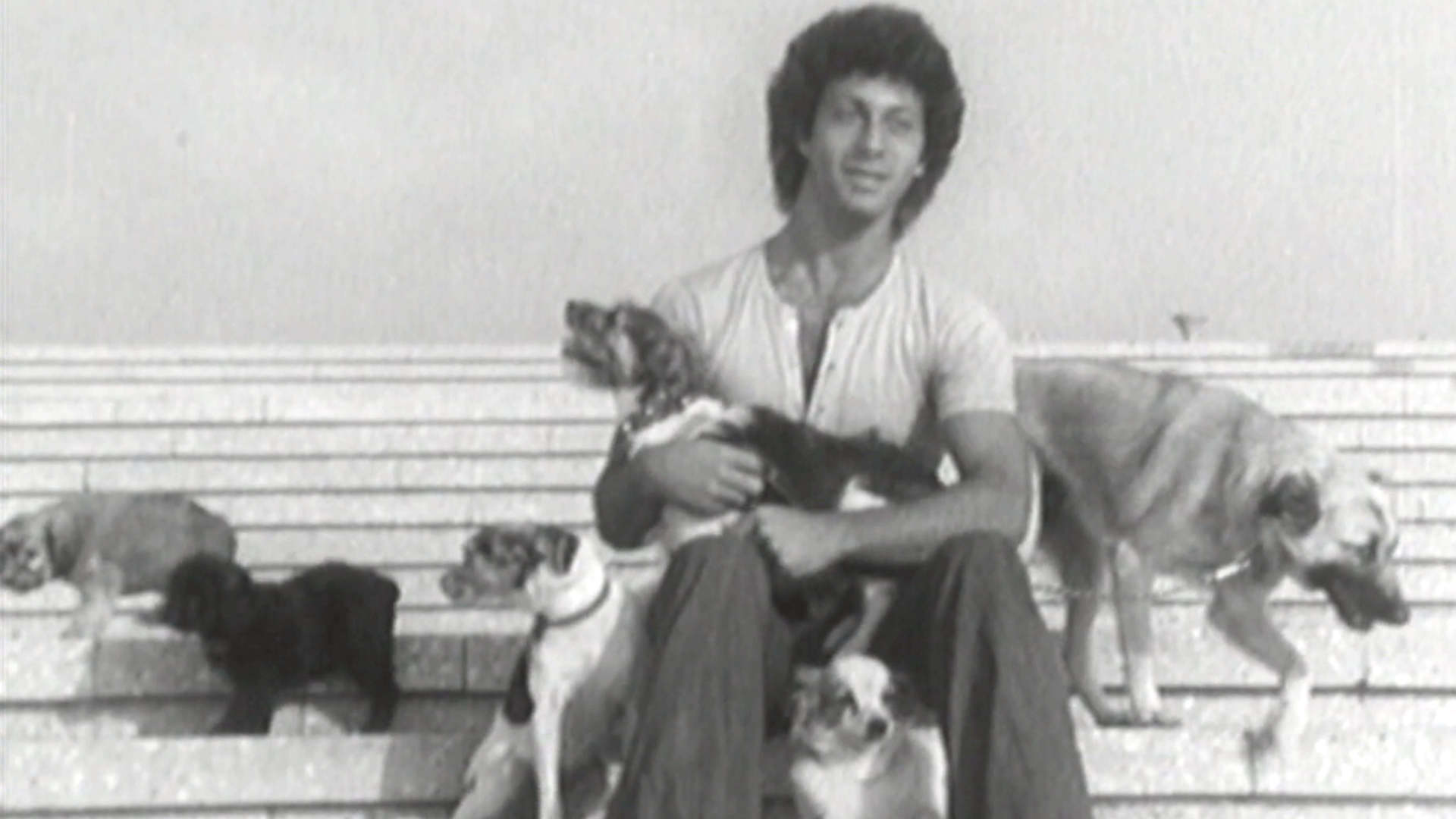 מתי כספי, 1974