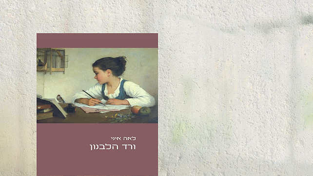מערכת כאן