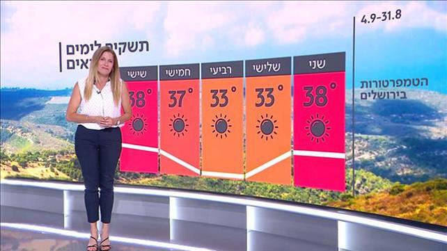 תחזית