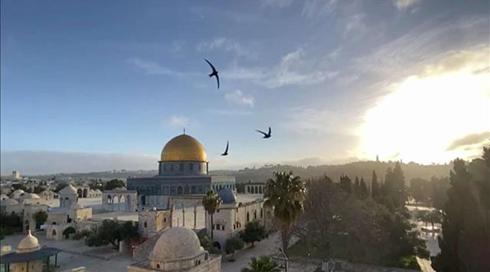 סלפי עם ירושלים: עיר הבירה דרך מצלמת הסמארטפון