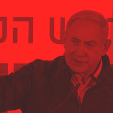 Hernán Felman, LIKUD