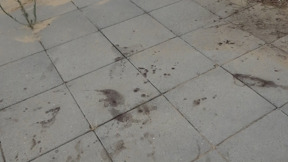 נרצח בגלל ריב על 50 שקל: אב לילד נדקר למוות לעיני משפחתו