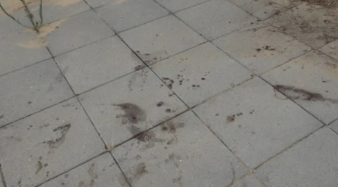 נרצח בגלל ריב על 50 שקל: אב לילד נדקר למוות לעיני משפחתו
