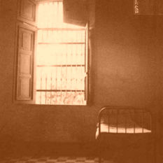 cat13690_img242676793.jpg