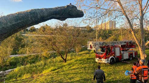 תיעוד: ילד טיפס על דינוזאור בגובה 10 מטרים - וחולץ