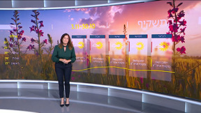התחזית 29.10