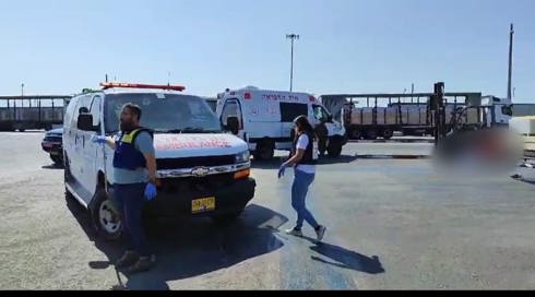 הפיגוע במעבר אלנבי: המחבל הירדני עבר בידוק בישראל - אך האקדח לא התגלה
