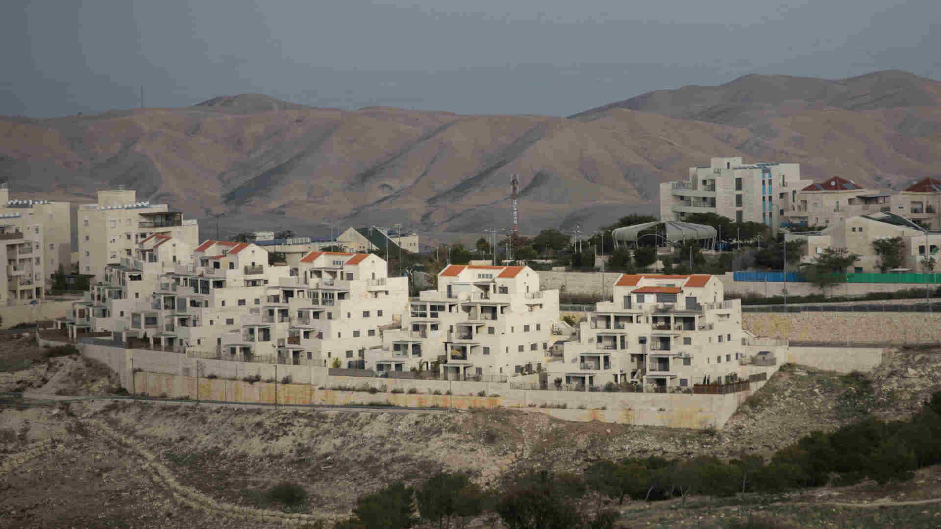 מעלה אדומים, השנה