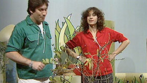 אפי בן ישראל ועוזי חיטמן. 1983