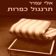כריכת הספר 'תרנגול כפרות'