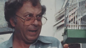 אלברט כהן. 1983
