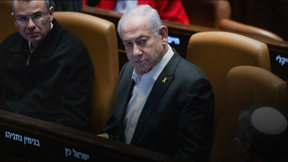 ערמונית