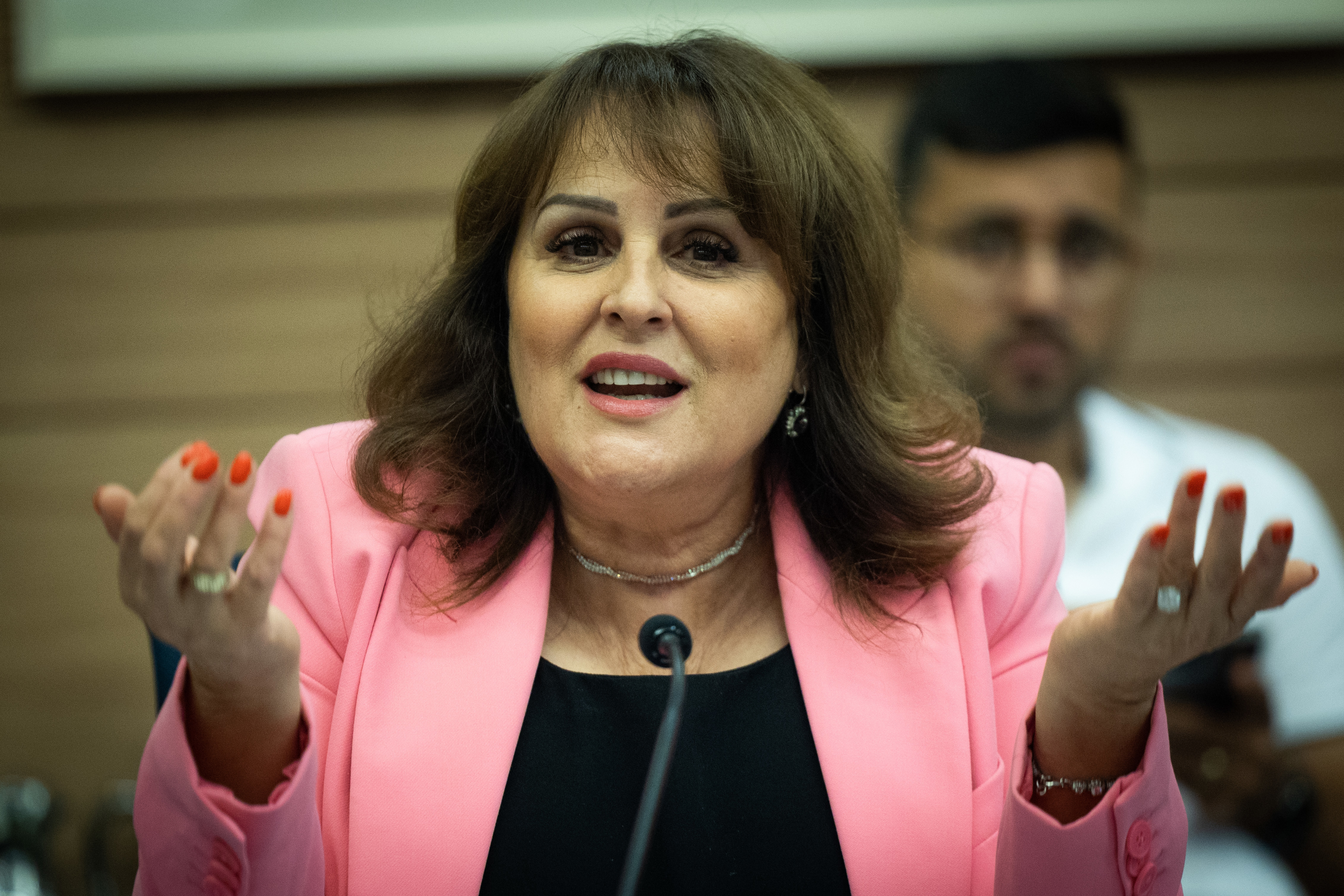 קטי שיטרית 