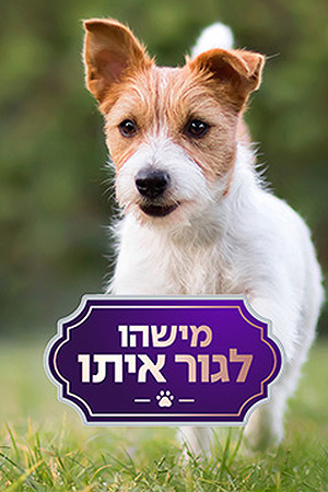 מישהו לגור איתו