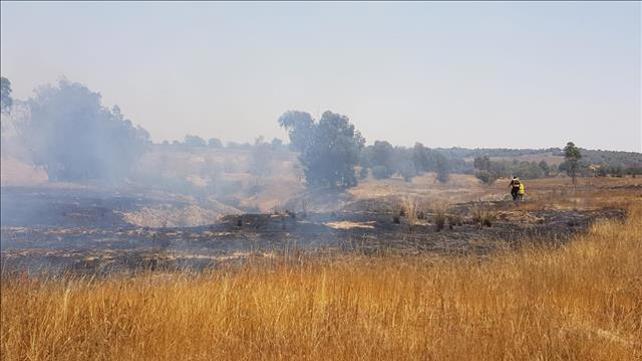 שריפה ביער כיסופים