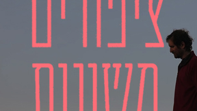 ציפורים משונות