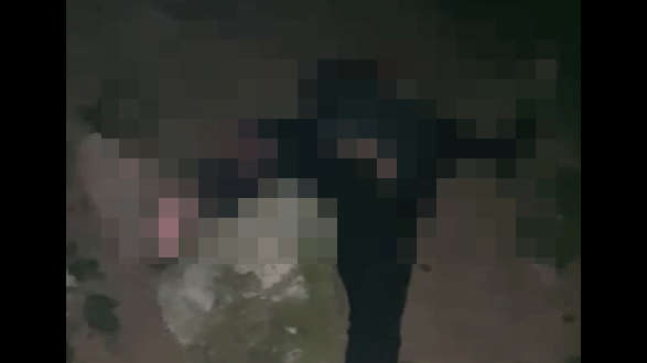 ירו בקורבן כשהוא שרוע על הרצפה, תיעדו והעלו לטיקטוק: "זה גורלו של כלב"