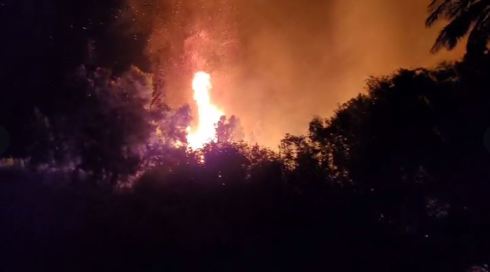 חשד להצתה: מאות דונמים נשרפו בצפון הכינרת