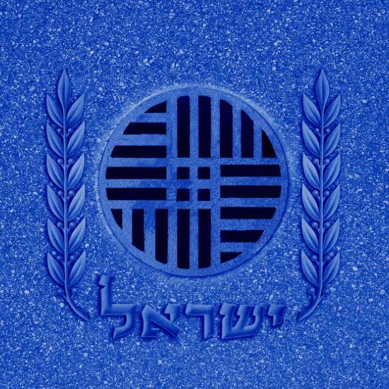 אמנות מחאה: אפרת פלג