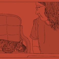 cat28826_img926929153.jpg