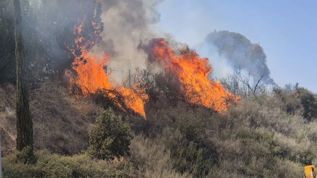 שריפה באזור דרום עמק החולה