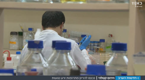 פרסום ראשון: תרומות זרע נדבקו בוירוס מסוכן