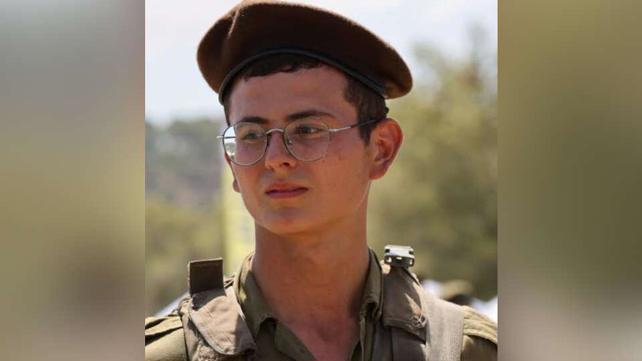 מתן אברג'יל