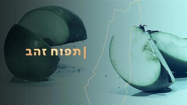 קאבר חדש סידרה תפוח אלון שרביט