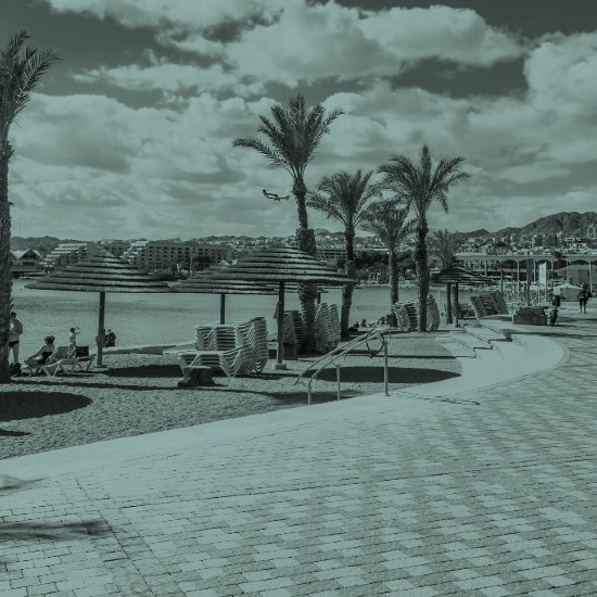 ״קדימה לאילת״