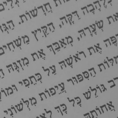 פתאום נהיה קיץ