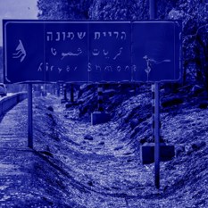 חיות כיס מה קורה בצפון 240724