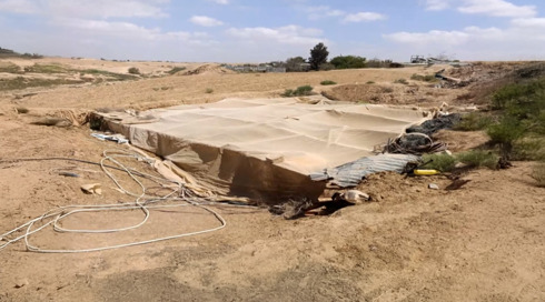 "הם לא מפחדים משום דבר": תיעדו את חממות הסמים בנגב - והותקפו באלימות