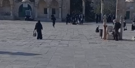 צעירים פרצו להר הבית במטרה להקריב קורבן שבועות