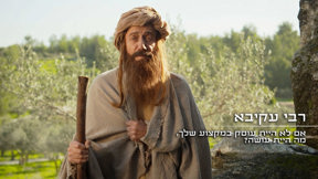 קריירה חלופית