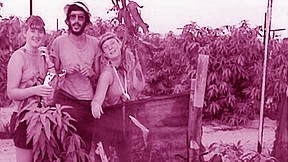 חלקת ההרכבות במטע המנגו, קיבוץ חולית 1984