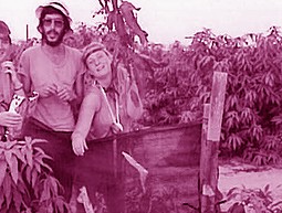 חלקת ההרכבות במטע המנגו, קיבוץ חולית 1984