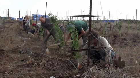 "ללמוד בקצב הטבע": בתי הספר שהחליפו את הכיתה - ביער