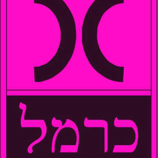 ישראל כרמל על מכירת הוצאת כרמל: "אני שמח"