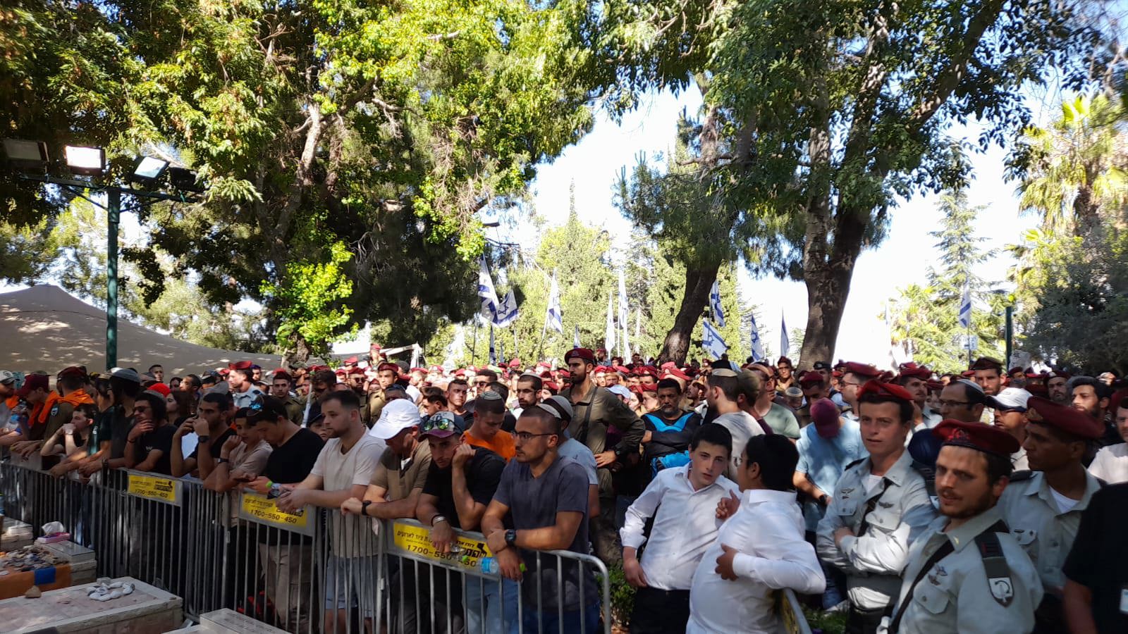 הלוויתו של דוד