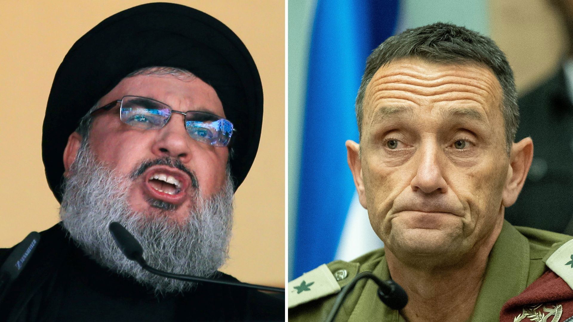 רא"ל הרצי הלוי, חסן נסראללה, ארכיון