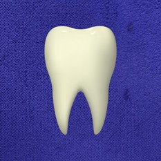 cat25793_img250420274.jpg
