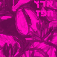 כריכת הספר 'ארץ הפז'